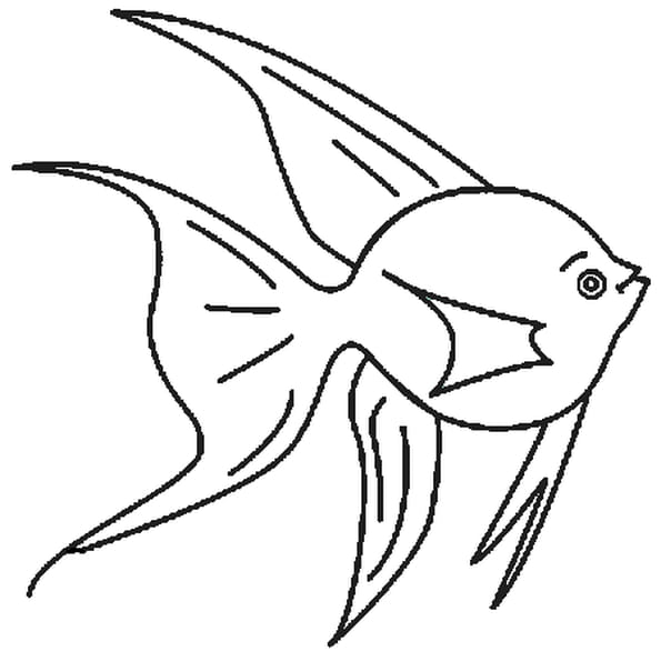 Coloriage Poisson D'Avril 3 En Ligne Gratuit À Imprimer concernant Poisson D'Avril A Imprimer Hugo L'Escargot