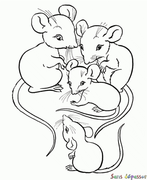 Coloriage Quatre Petites Souris – Sans Dépasser à Souris De Dessin Anime