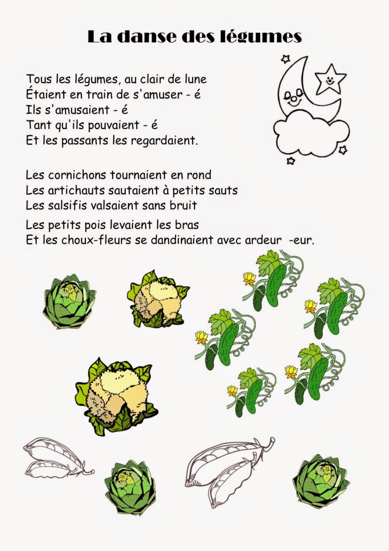 Comptine #30 La Danse Des Légumes avec La Danse Des Pingouins Paroles