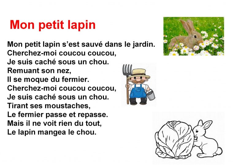 Comptines à Mon Petit Lapin Coloriage Jardin