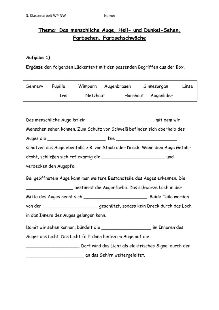 Das Auge Arbeitsblatt Klasse 7 – David Llewellyn Grundschule dedans Das Auge Arbeitsblatt Klasse 7 David Llewellyn Grundschule