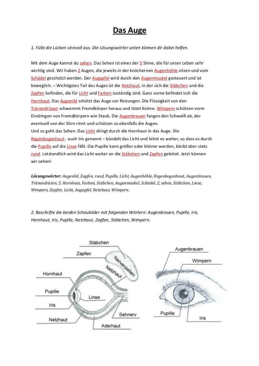 Das sehen. Eyes Worksheets.