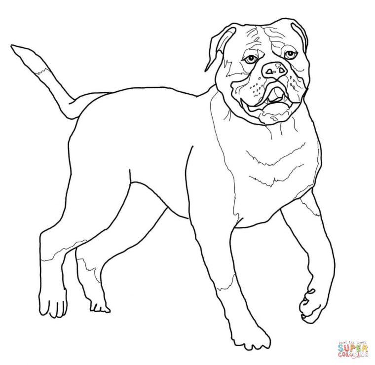 Desenho De Buldogue Americano Para Colorir | Desenhos Para tout Dessins A Colorier Rottweiler