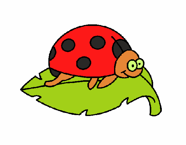 Dessin De Coccinelle Sur Une Feuille Colorie Par Membre avec Dessiner Coccinelle Sur Gommette