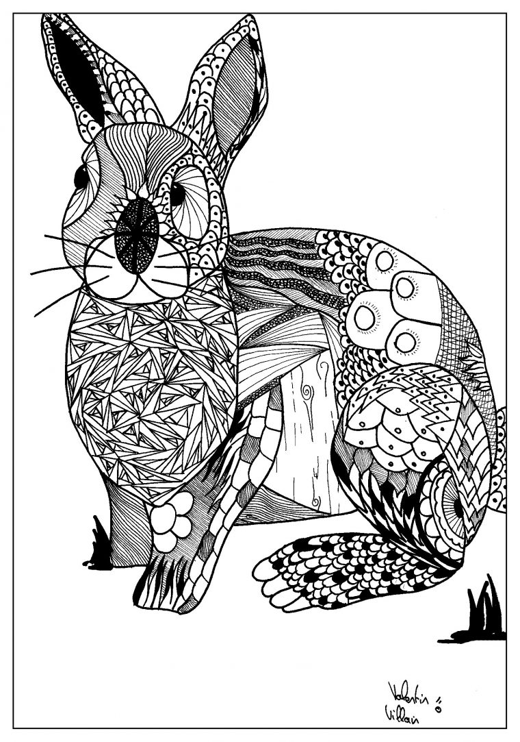 Deux Lapins Pour Une Carotte – Coloriage Lapin Tête À serapportantà Tete A Modeler Coloriage