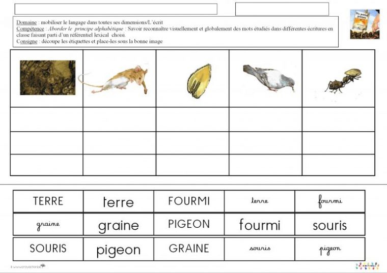 Dix Petites Graines : Associer Des Mots Du Lexique Avec destiné Sequence Dix Petites Grainse