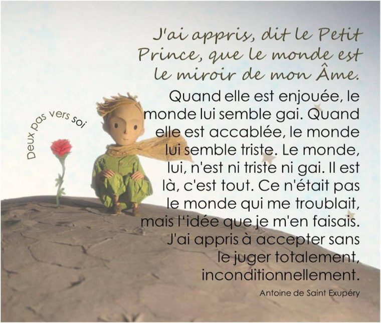 Épinglé Par Régine Nicosia Sur Mes Citations Préférées avec Le Petit Prince Mots Croises