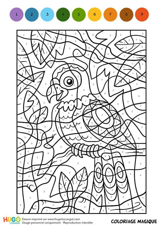 Épinglé Sur Cm1 Math Coloriage Magique à Coloriage A Imprimer A Numero