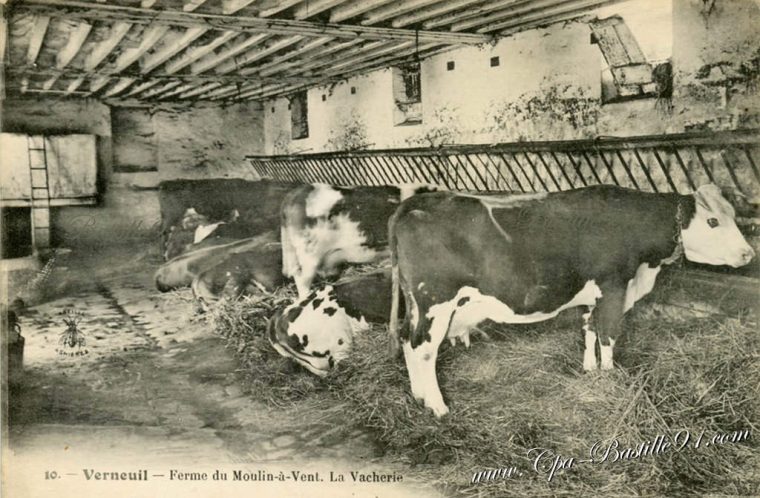 Étable | Cartes Postales Anciennes concernant Compte De 1 A 10 Dans Titounis En Francais