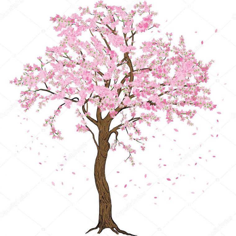 Fleur De Printemps Isolé Sakura Fleur Arbre Avec à Des Fleurs De Printemps A Dessiner