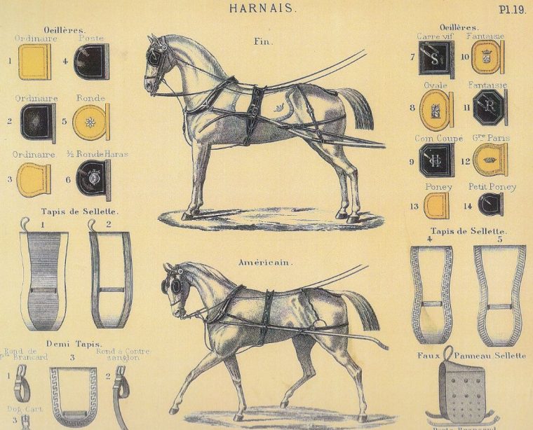 Harnais Pour Un Cheval Voiture 4 Roues (Suite) | Harnais serapportantà Cploriage 4 Roues