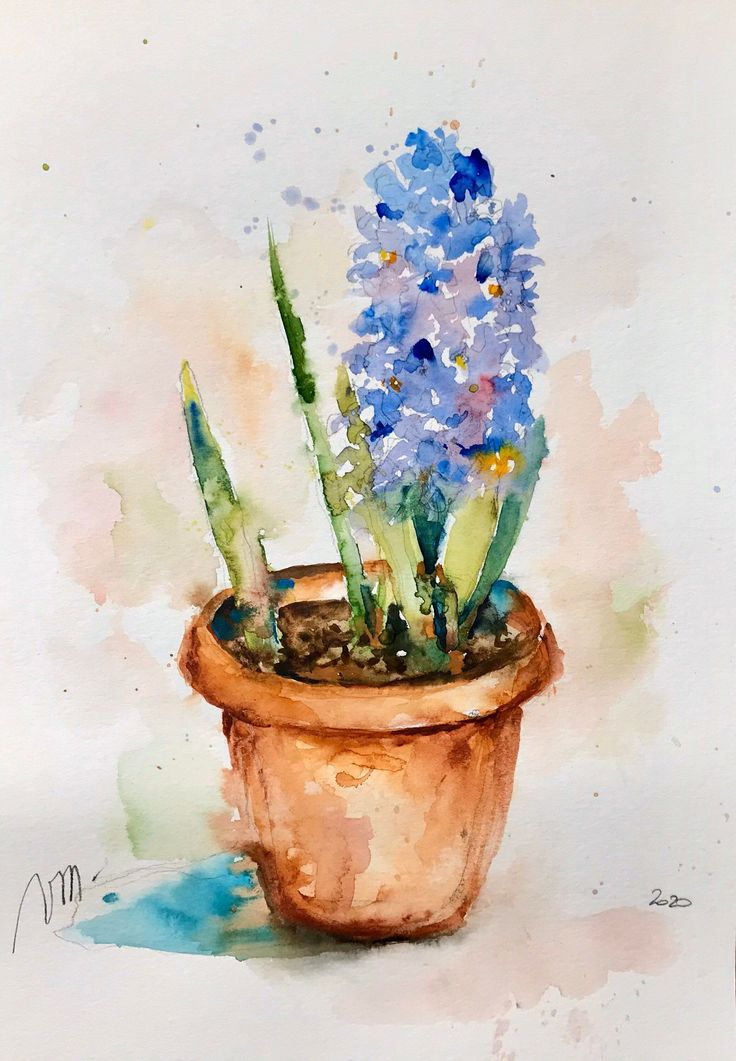 Jacinthe Bleue Du Printemps En Fleur À L'Aquarelle | Etsy pour Des Fleurs De Printemps A Dessiner