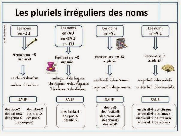 La Prof De Fle: Comment Former Le Pluriel Des Noms serapportantà Les Noms Des Insectes Avec Photos