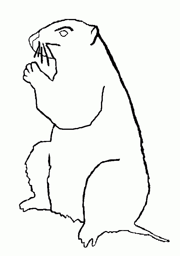 Nos Jeux De Coloriage Marmotte À Imprimer Gratuit – Page 2 intérieur Marmotte Qui Dort Dessin
