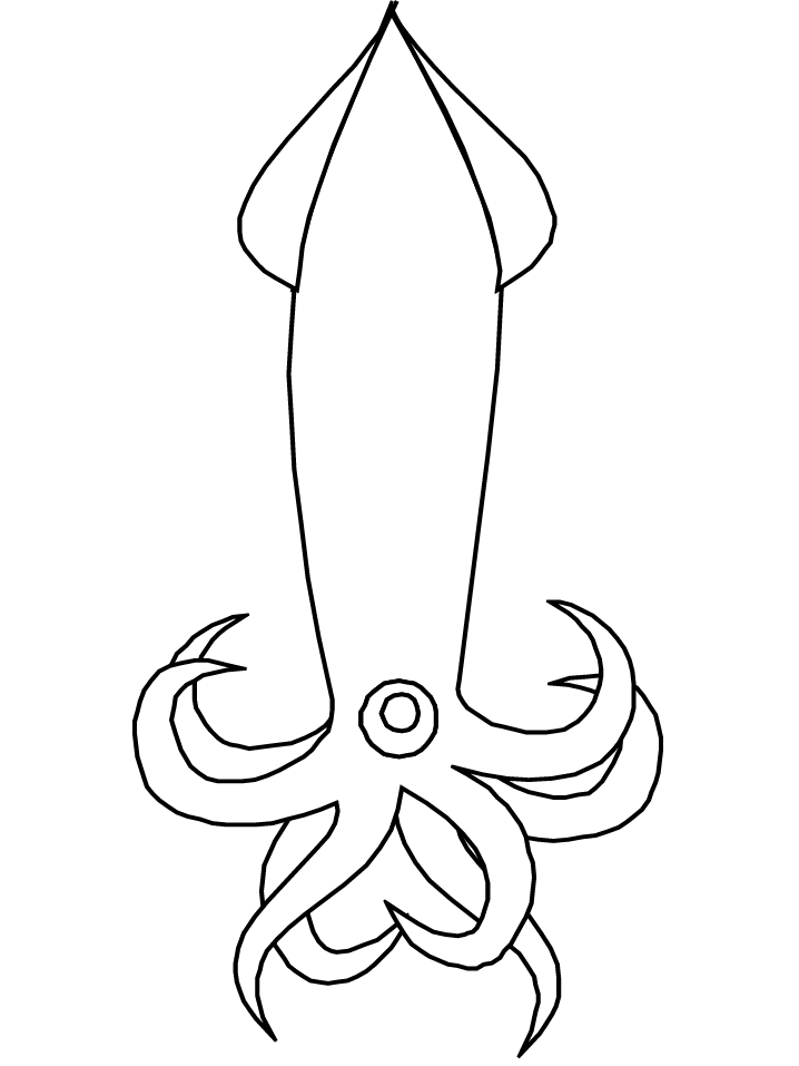 coloring pages squid