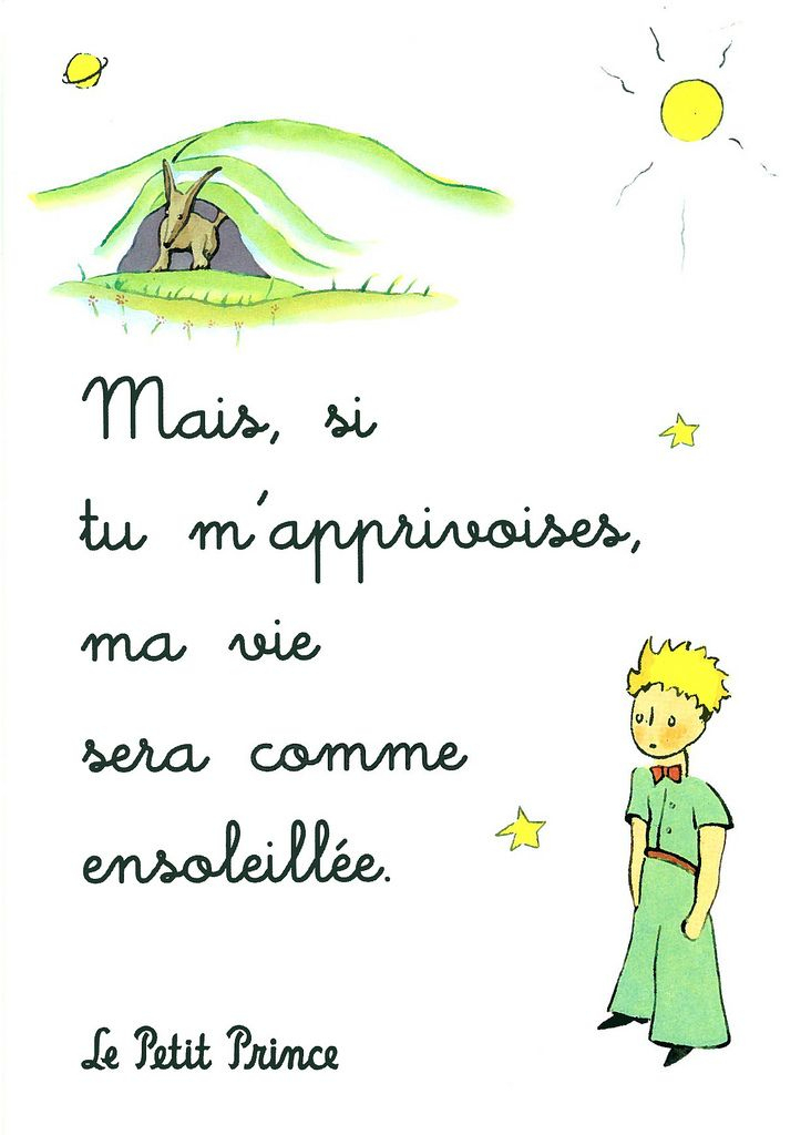 Pr0038 Cs Le Petit Prince | Prince Quotes, French Quotes concernant Le Petit Prince Mots Croises