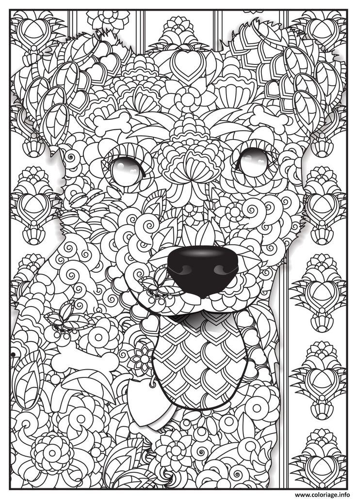 Resultado De Imagen De Coloriage Numéroté Animaux à Coloriage Par Numero