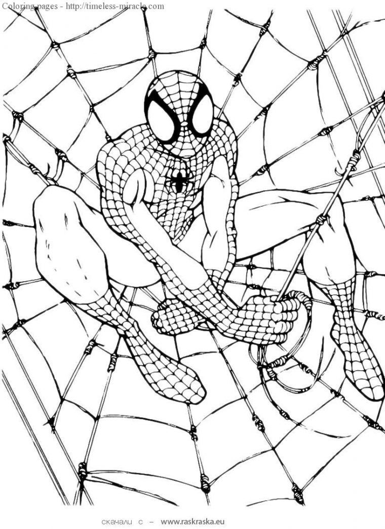 Spider Man Color Pages – Timeless-Miracle intérieur Sitegreatestcoloringbookcom