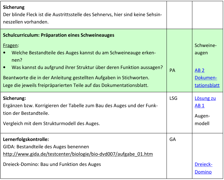 Auge Aufbau Und Funktion 8Klasse - GreatestColoringBook.com
