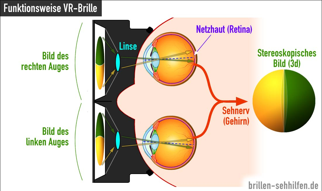 Wie Funktioniert Eine Vr-Brille? destiné Auge Aufbau Und Funktion