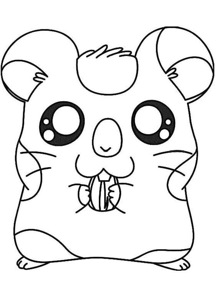 hamster coloring page