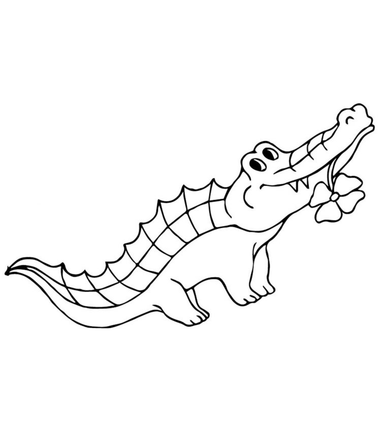 alligator coloring pages