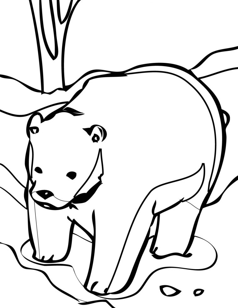 bear coloring page