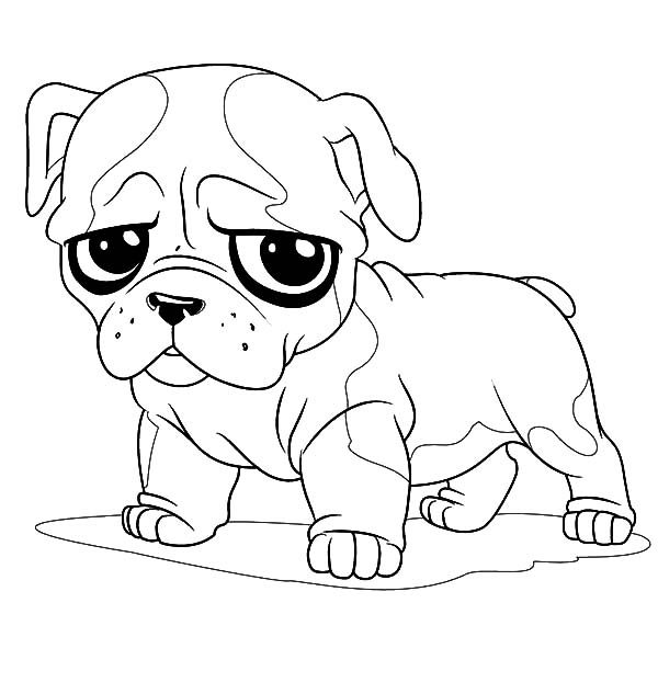 bulldog coloring pages