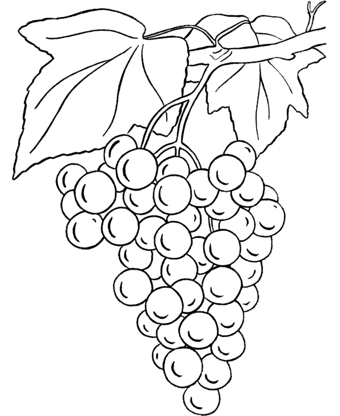 grapes coloring page