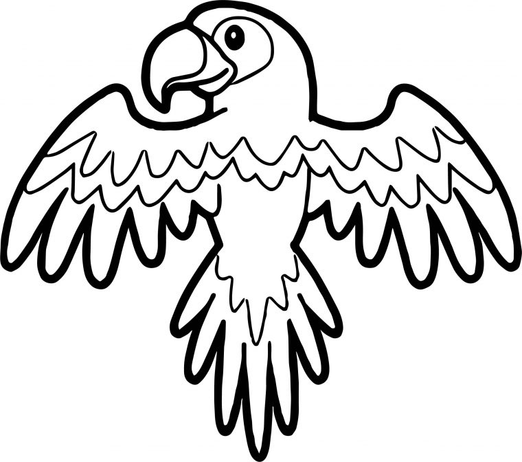 parrot coloring page