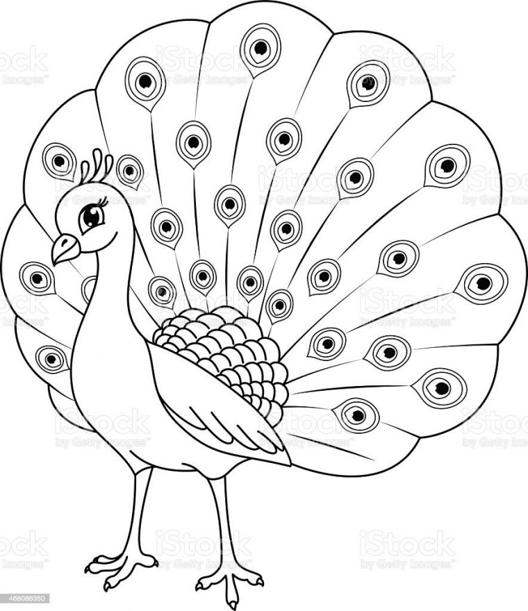 peacock coloring pages