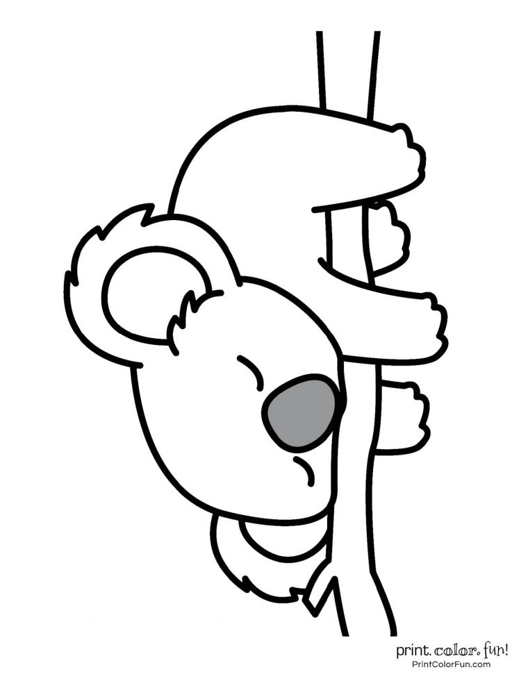 koala coloring page