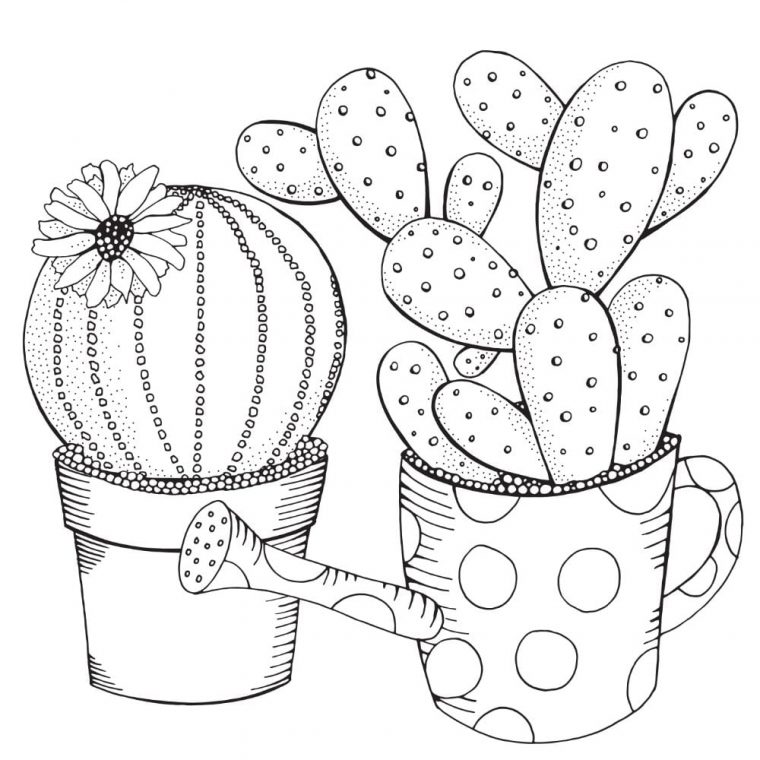 succulent coloring page