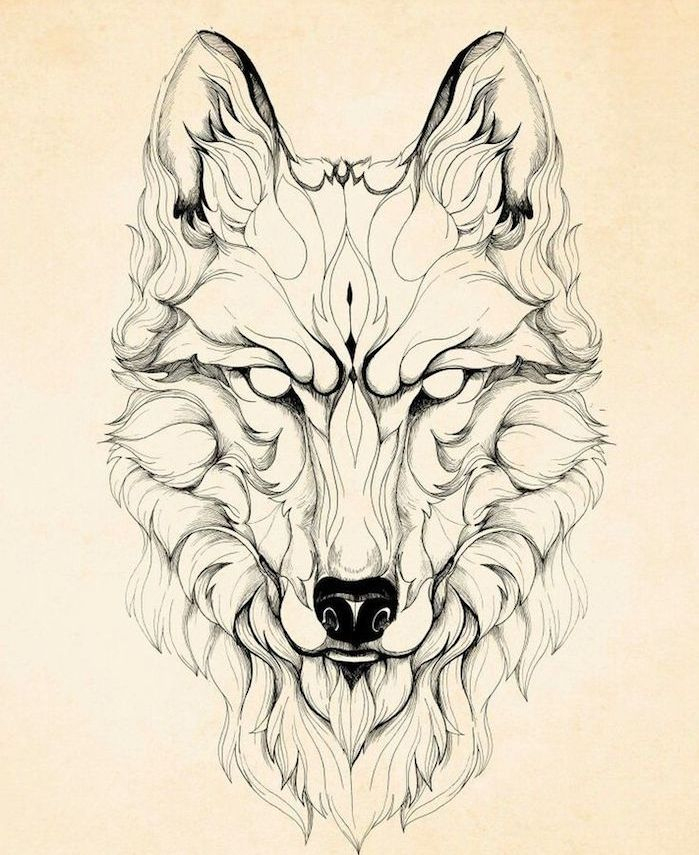 1001 + Astuces D'Artiste Pour Apprendre À Réaliser Un Dessin De Loup encequiconcerne Dessin Taªte De Loup Facile