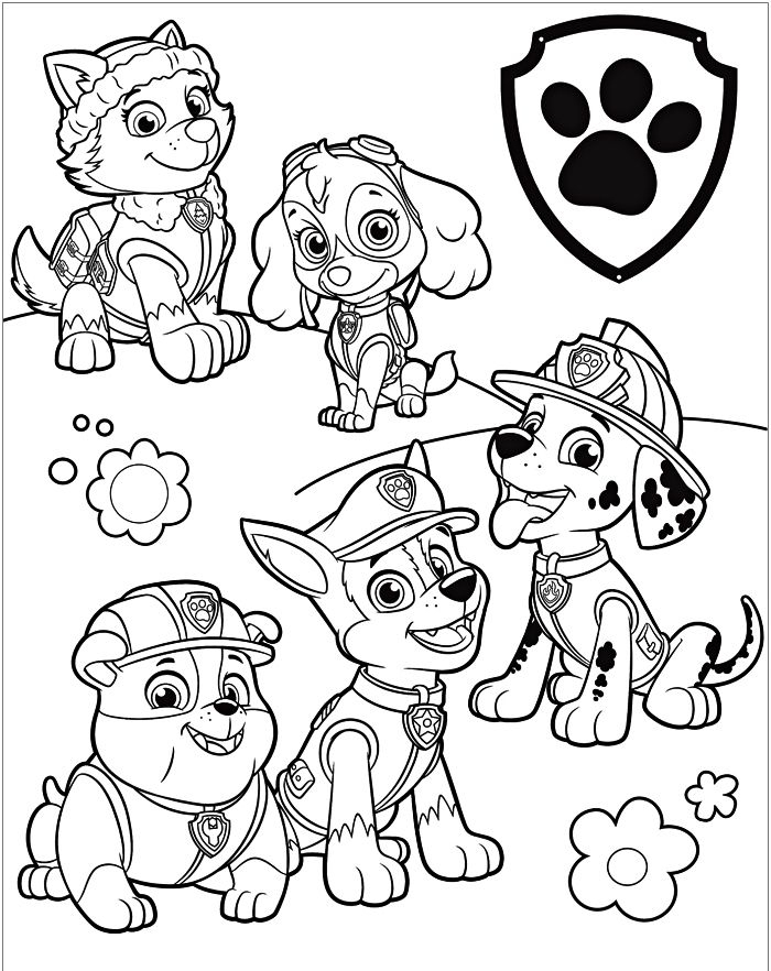 1001 + Dessins Coloriage Pour Enfant À Imprimer Gratuitement | Dessin avec Coloriage Magique Pat Patrouille