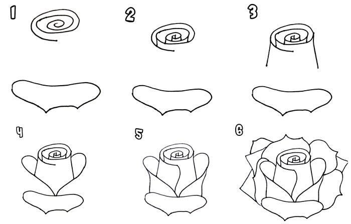 1001 + Modèles Et Conseils Pour Apprendre Comment Dessiner Une Rose concernant Image De Rose Pour Dessinner