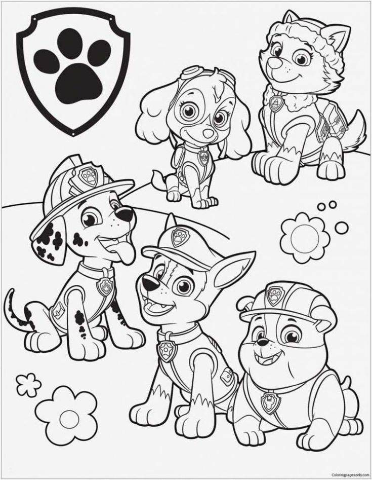 12 Nouveau De Chase Pat Patrouille Coloriage Photos - Coloriage intérieur Coloriage Magique Pat Patrouille