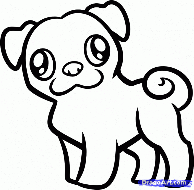 coloring pages of pugs