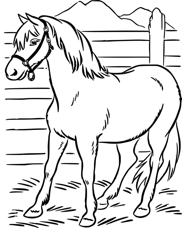 13 Beau De Dessin Facile Cheval Galerie | Coloriage Cheval À Imprimer destiné Dessin A Colorier Facile A Imprimer