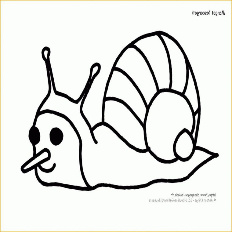 13 Cool De Hugo L'Escargot Pokemon Collection | Coloriage Pokemon dedans Hugo L&#039;Escargot Diplome A Imprimer