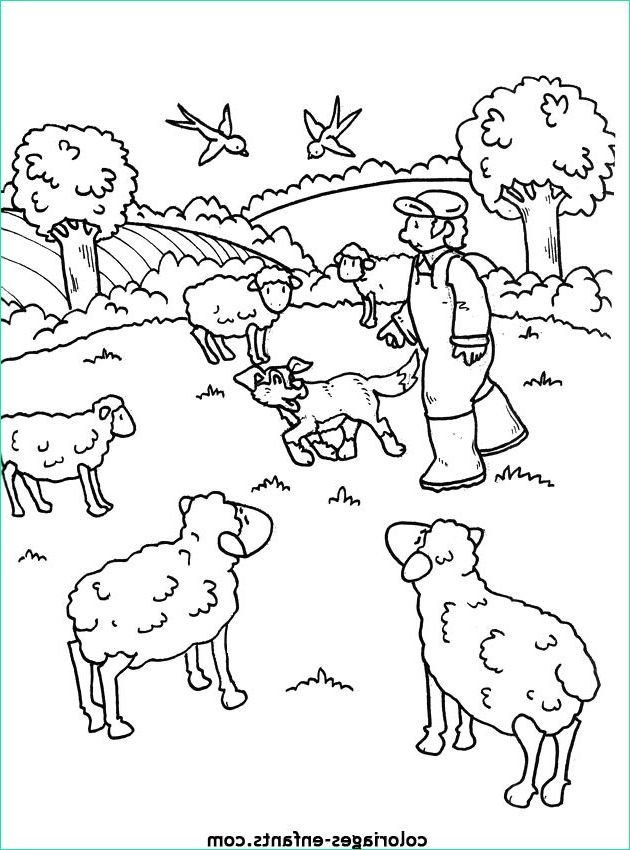 15 Cool De Coloriage Ferme Maternelle Images – Coloriage : Coloriage intérieur Coloriage Animaux Ferme Maternelle