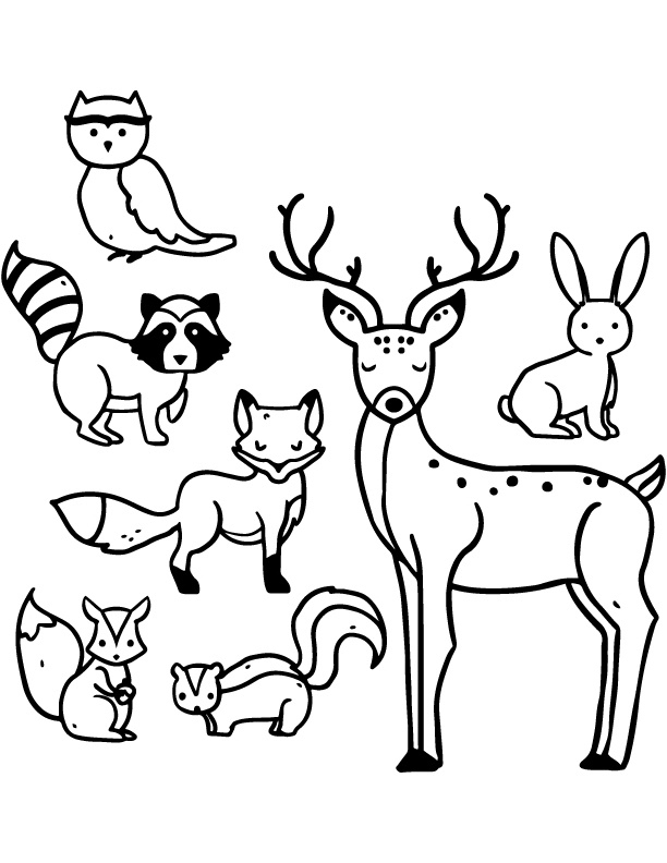 15 Nouveau De Animal Coloriage Images – Coloriage : Coloriage intérieur Coloriage Animaux Foret Imprimer