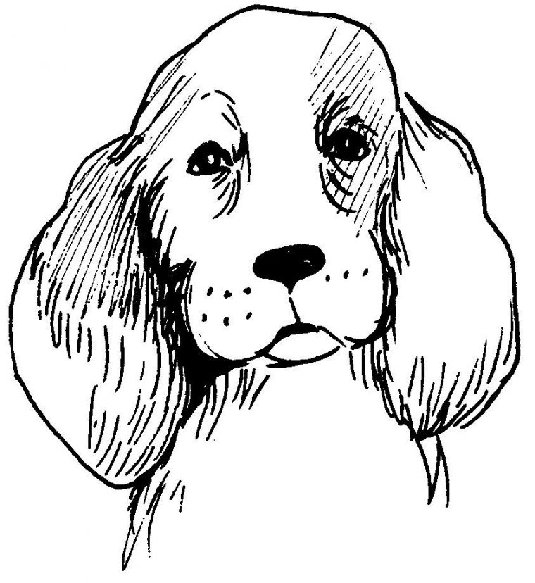 302 Dessins De Coloriage Chien À Imprimer Sur Laguerche – Page 4 avec Coloriage Animaux À Dessiner