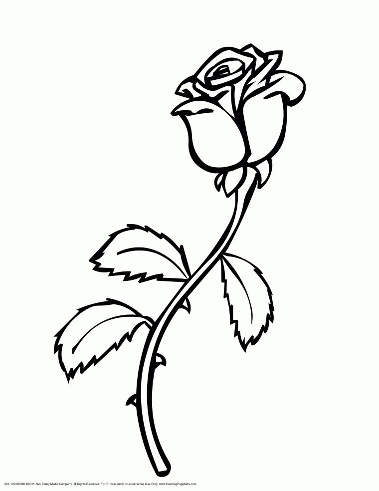 57 Dessins De Coloriage Roses À Imprimer Sur Laguerche – Page 4 dedans Image De Rose Pour Dessinner