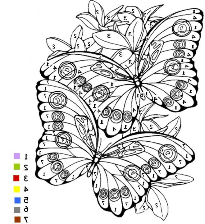 8 Beau De Coloriage Papillon Difficile Photos | Coloriage En Ligne destiné Papillon Coloriage Magique