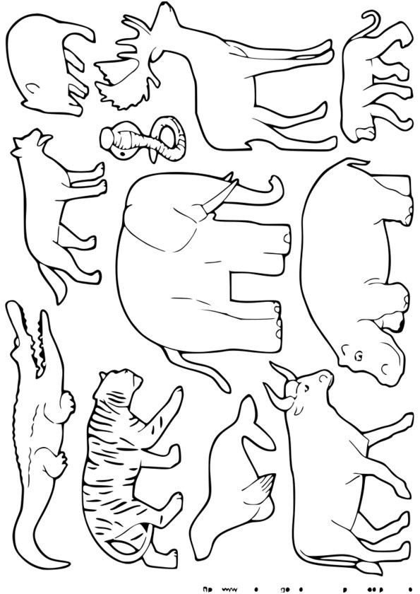 8 Plaisant Coloriage Animaux À Imprimer Gratuit Pics | Coloriage pour Coloriage Animaux 8 Ans