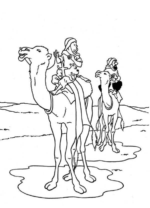 92 Dessins De Coloriage Tintin À Imprimer Sur Laguerche – Page 5 serapportantà Dessin A Colorier Tintin A Imprimer