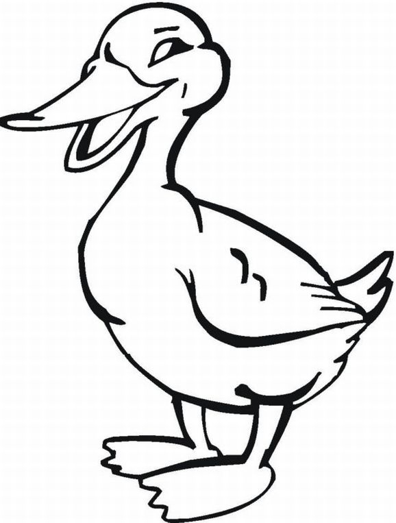 98 Dessins De Coloriage Animaux De La Ferme À Imprimer Gratuit À Imprimer avec Coloriage Animaux De La Ferme À Imprimer Gratuit