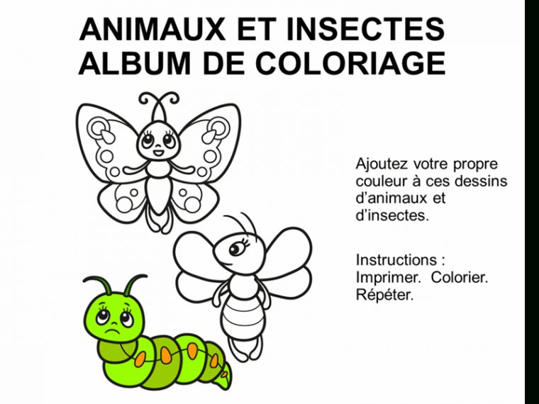 Album De Coloriage Sur Les Animaux Et Les Insectes pour Coloriage Animaux Et Insectes