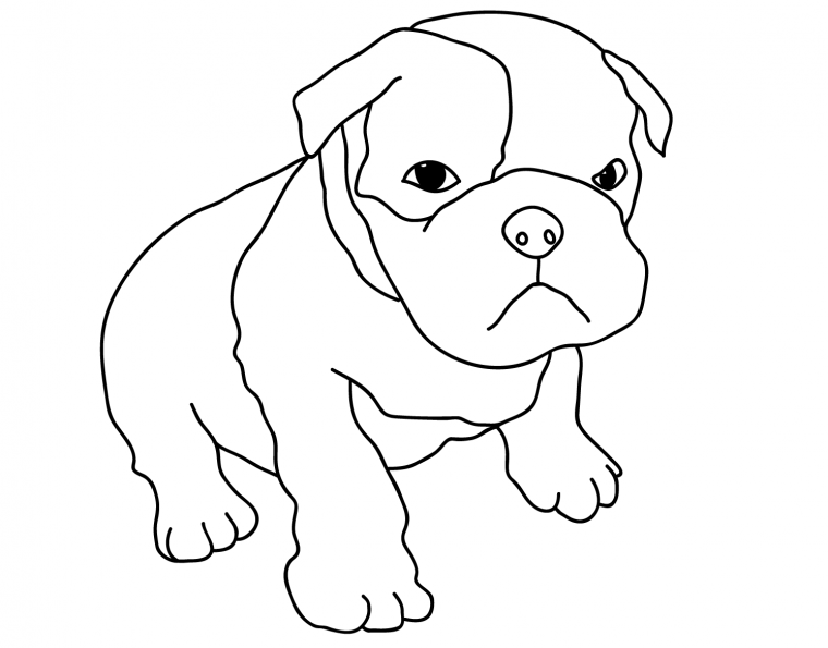 bulldog coloring page